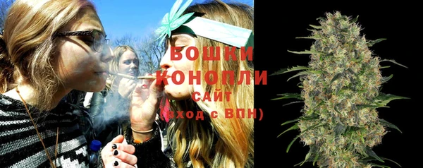 экстази Бородино