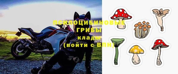 ECSTASY Володарск